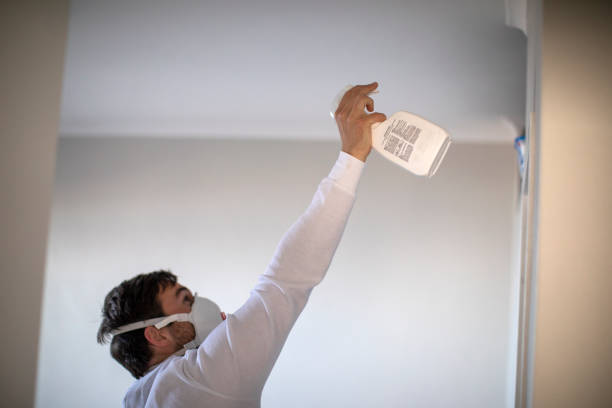 Best Residential Mold Remediation in Gridley, IL