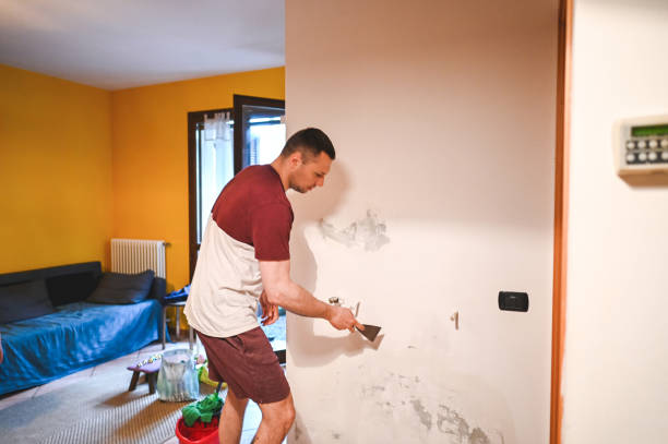 Best Basement Mold Remediation in Gridley, IL